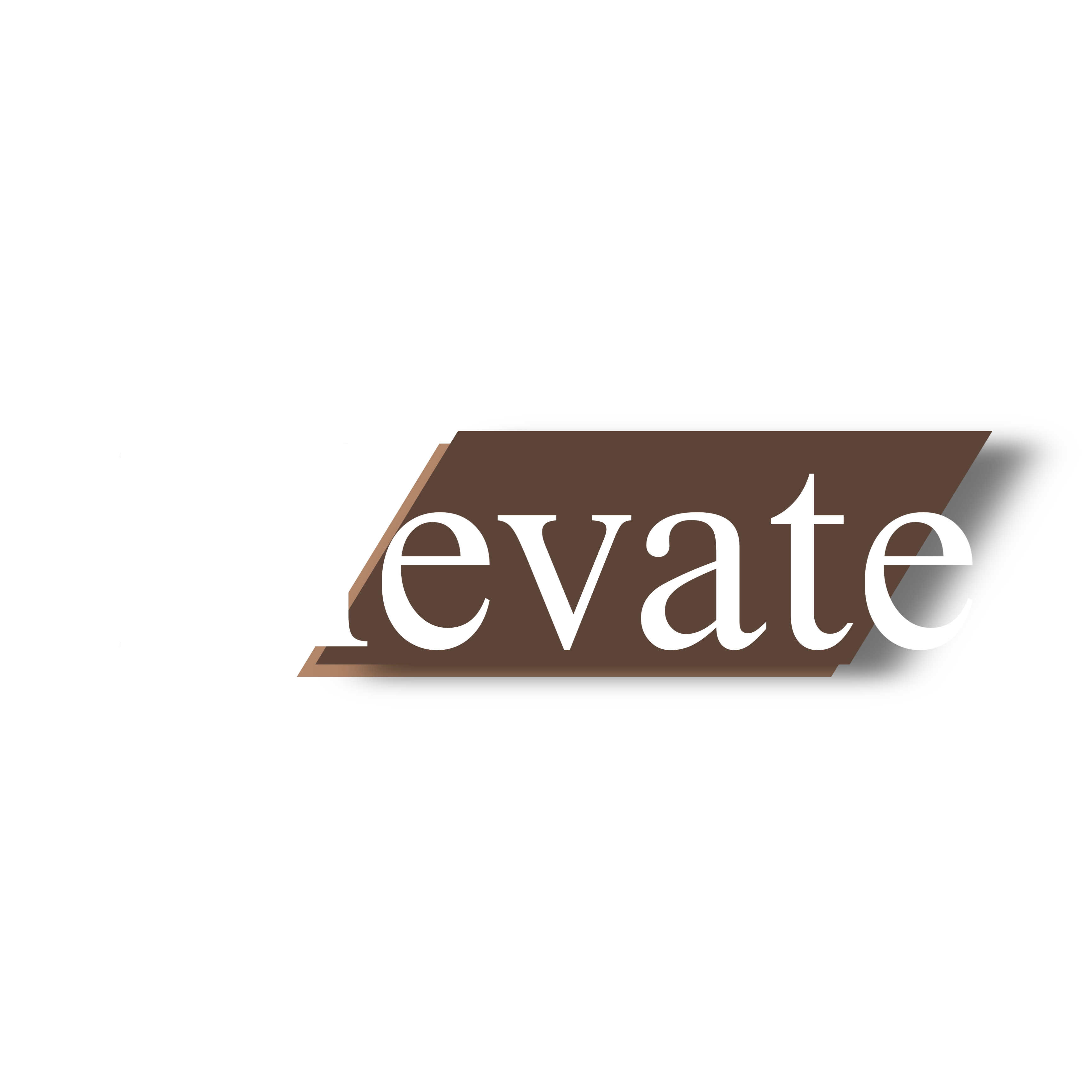 Elevate NZ main logo